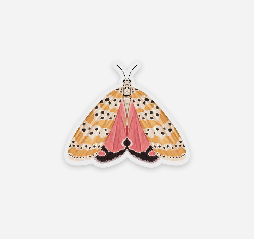 Bella moth sticker