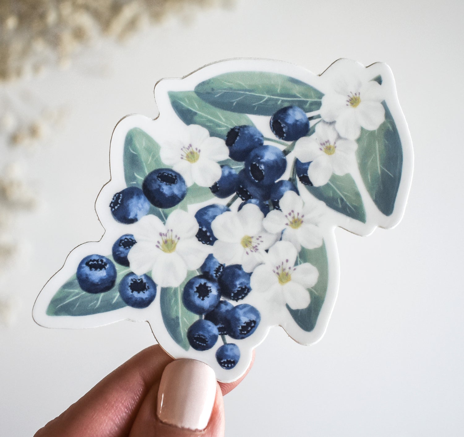 A bunch of blueberries with white flowers vinyl sticker