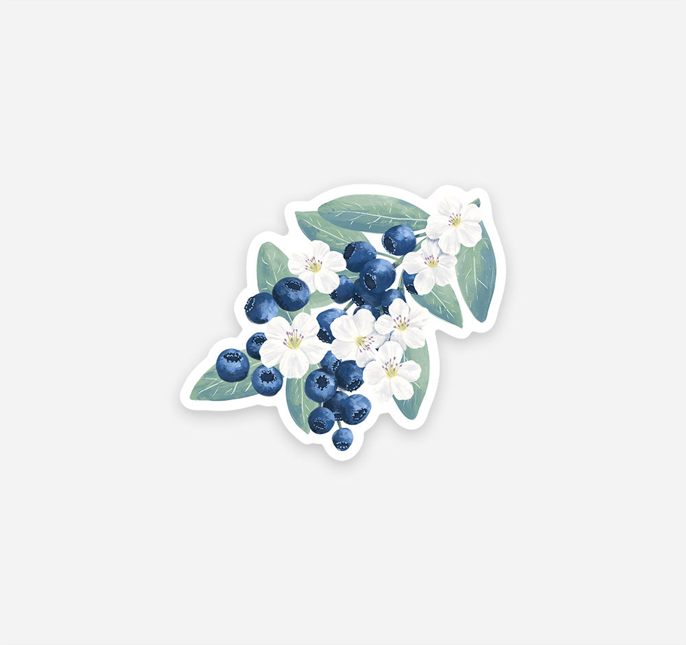 A bunch of blueberries with white flowers vinyl sticker