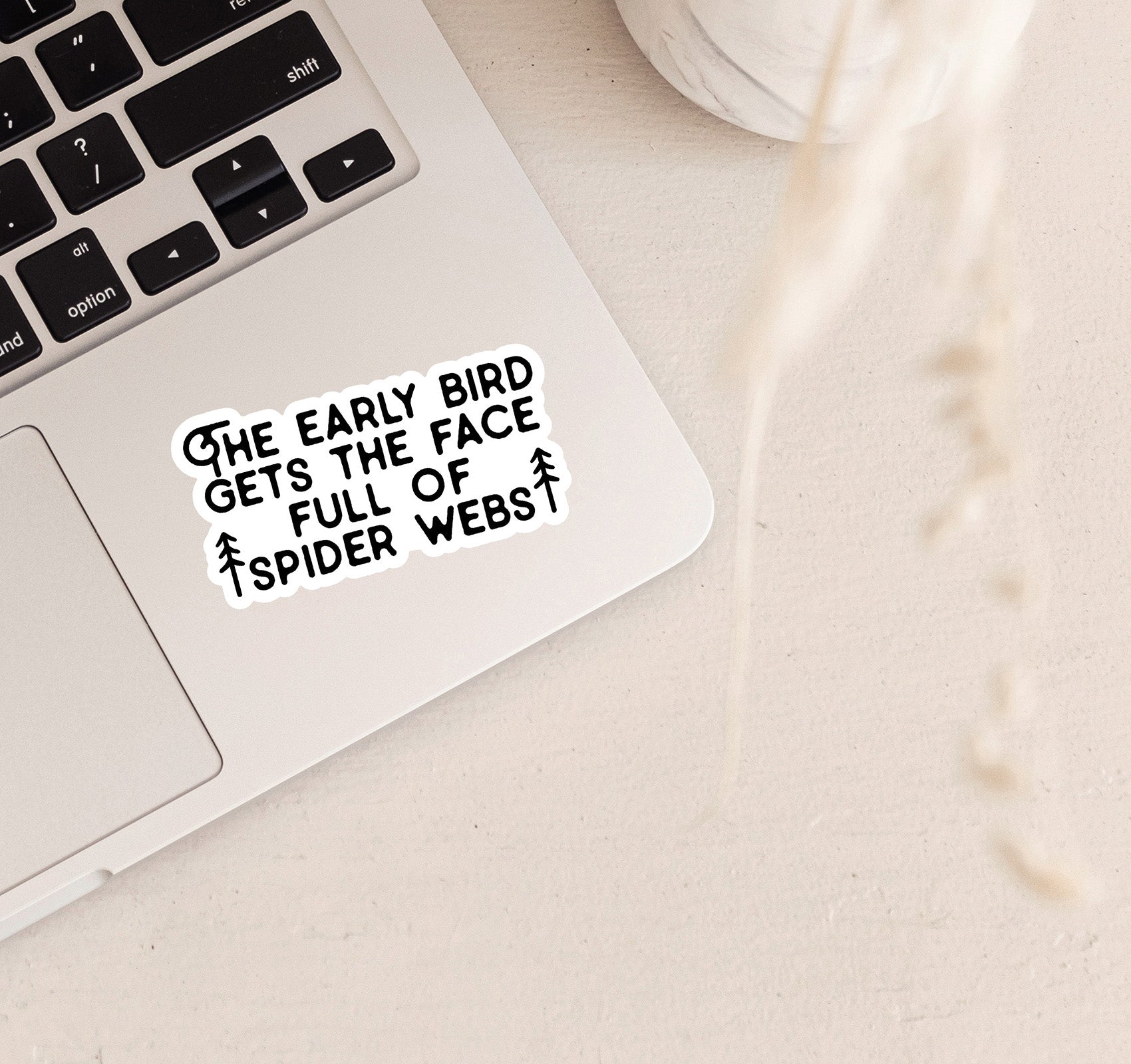 The early bird gets the face full of spider webs laptop decal