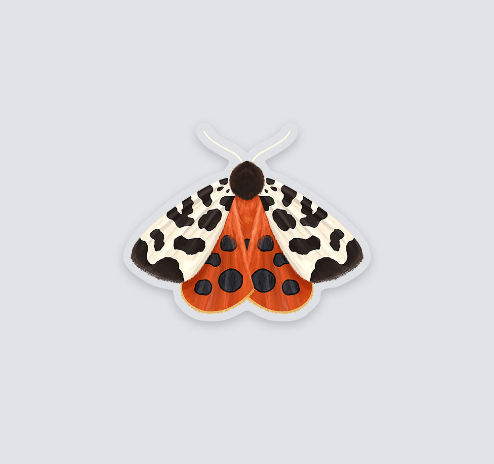 Garden tiger moth sticker