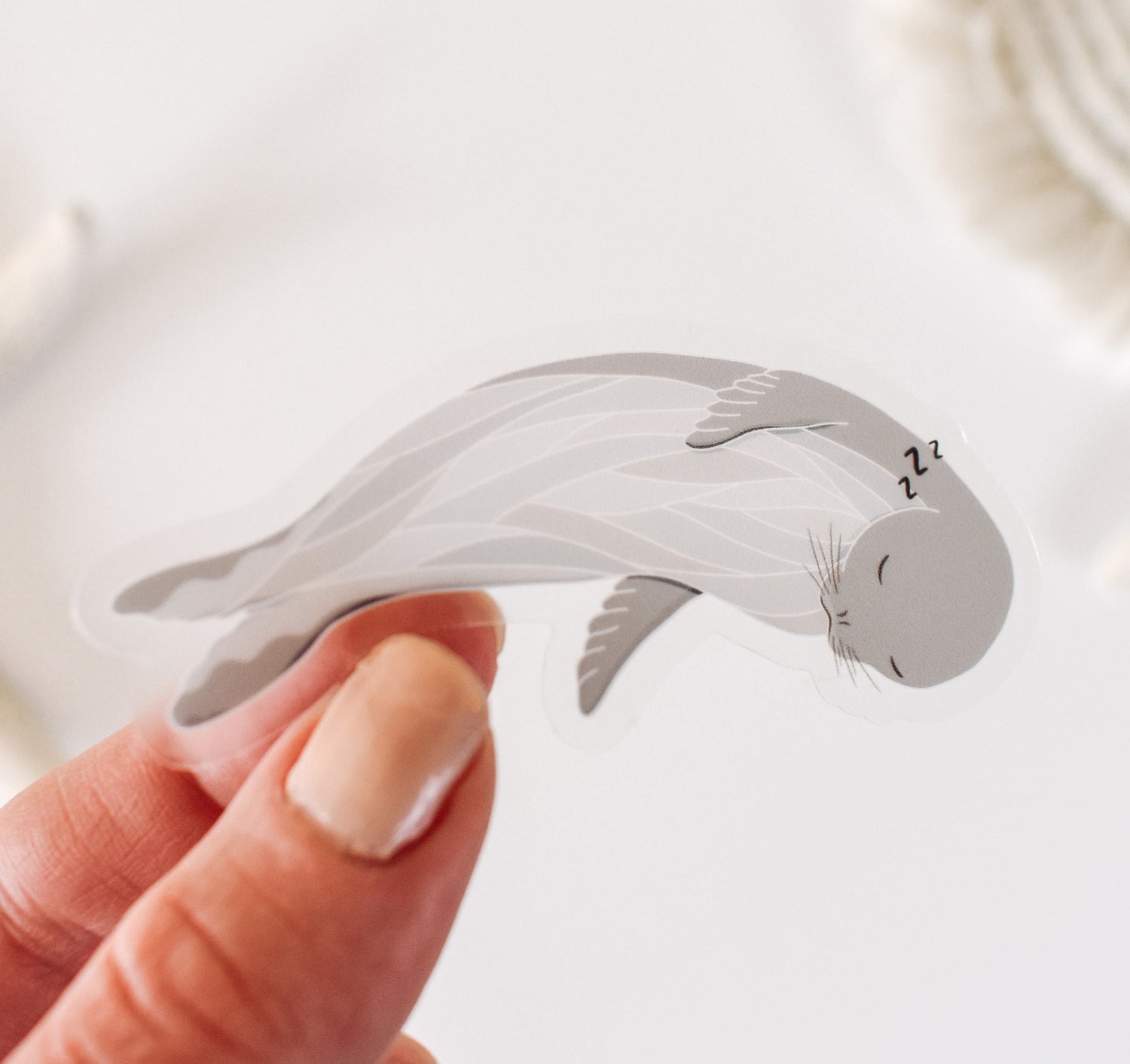 Hawaiian Monk Seal sticker