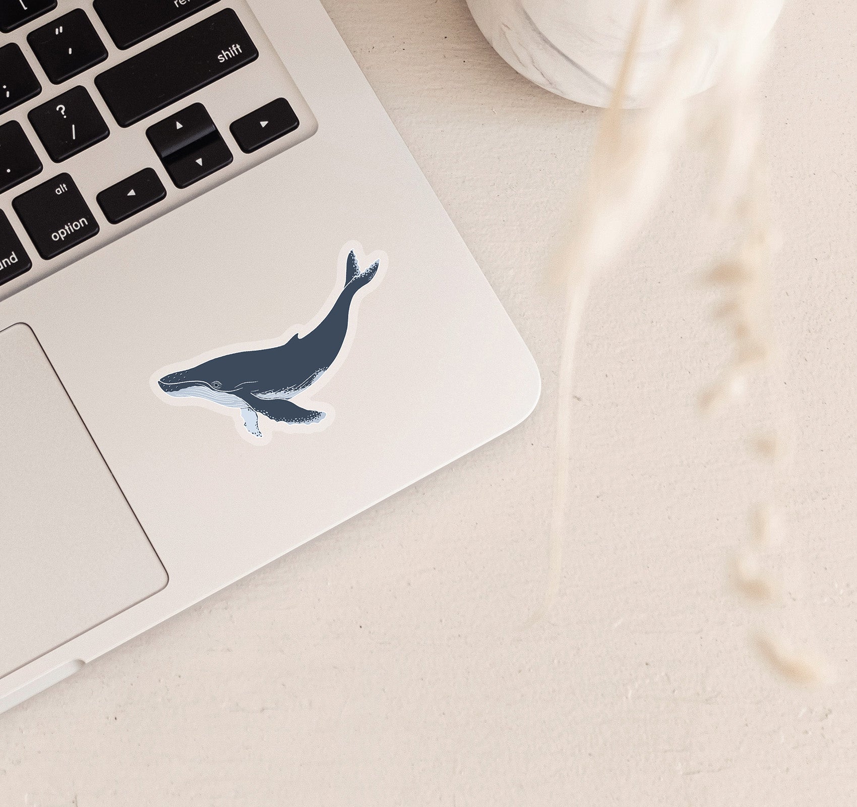 Humpback whale laptop decal