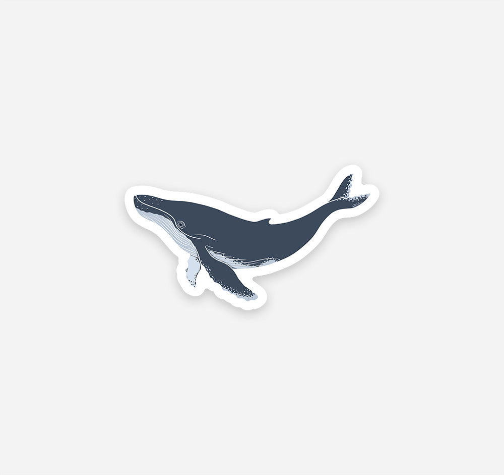 A magnet of a stylized humpback whale, shown on a light gray background.
