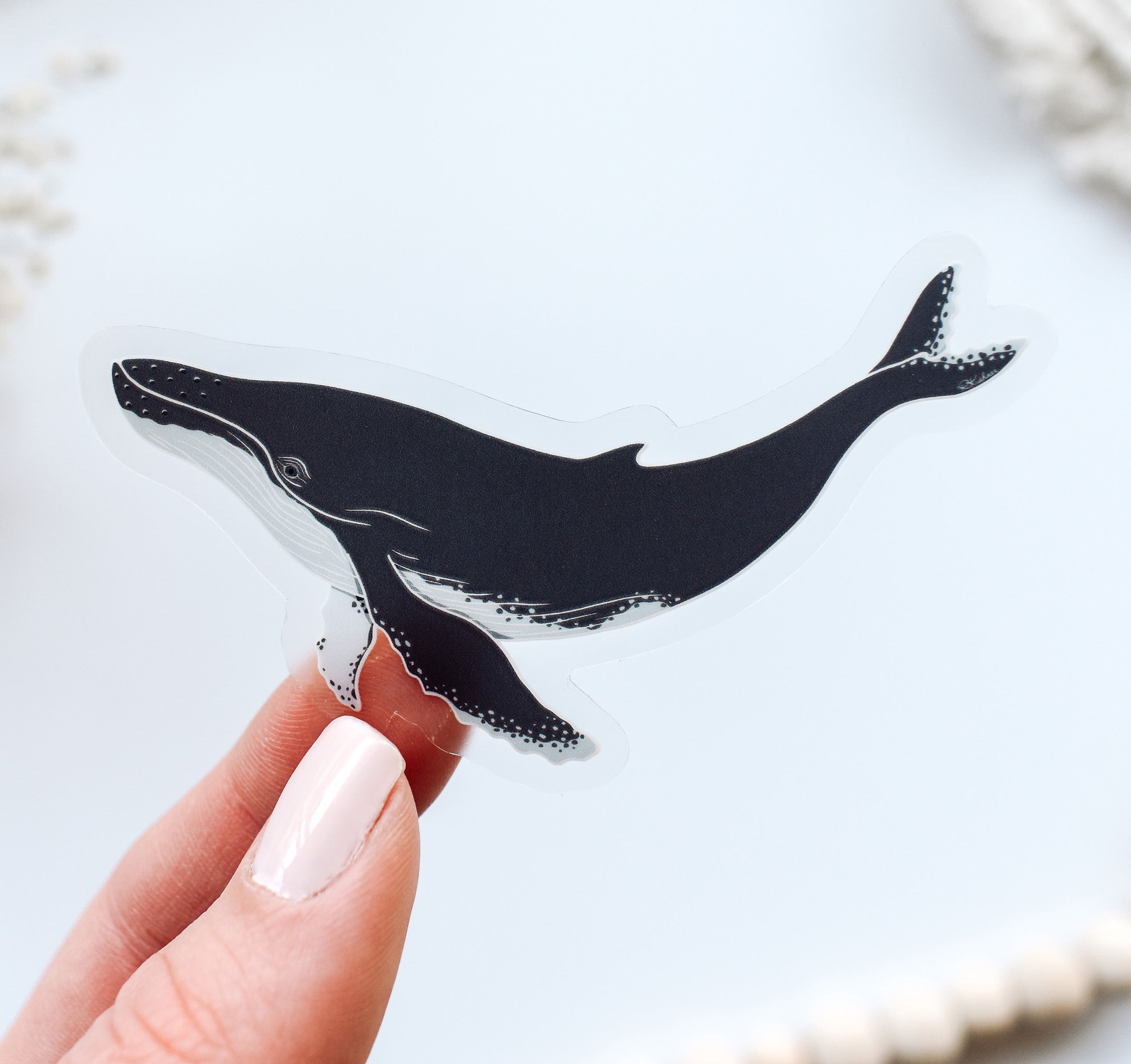 Humpback whale sticker