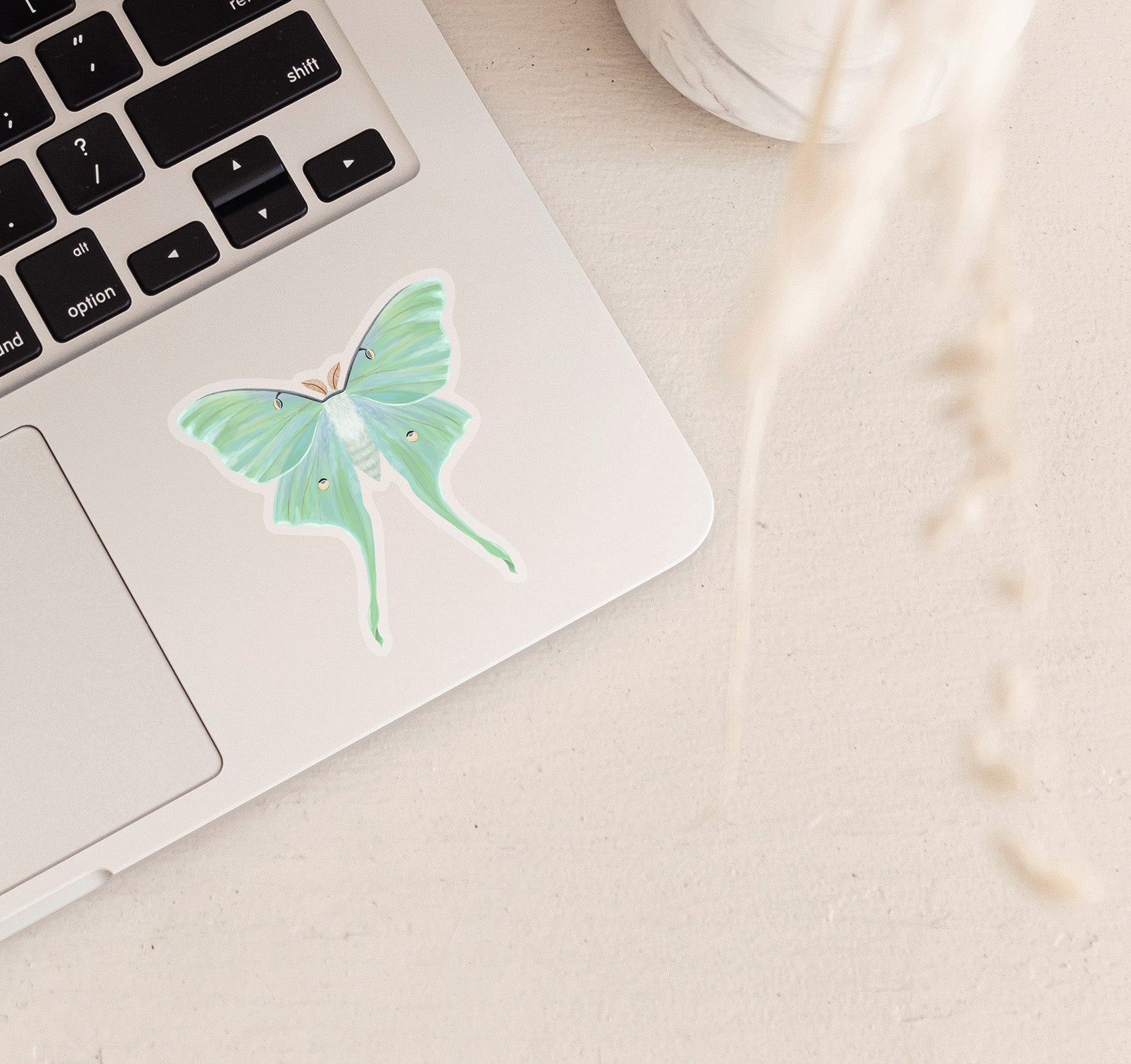 Luna moth laptop decal