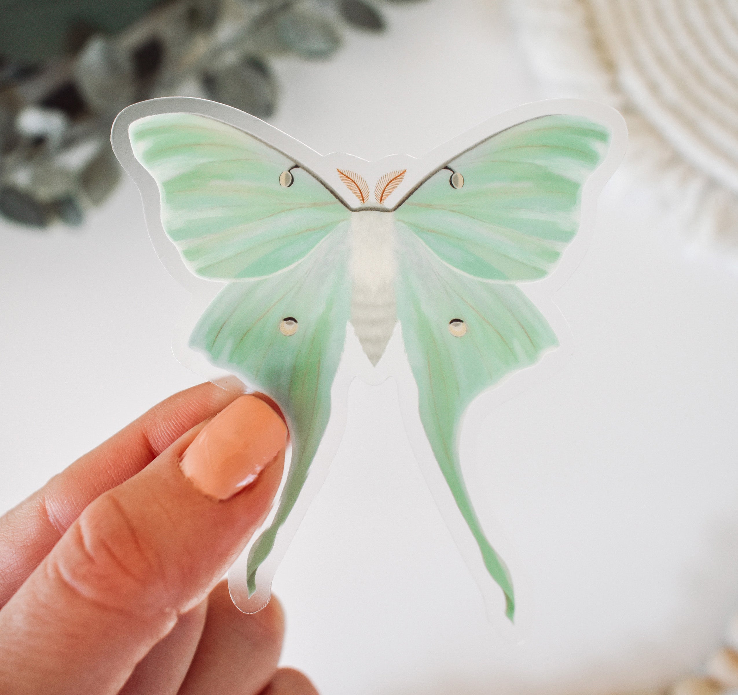 Luna Moth Waterproof Vinyl Sticker