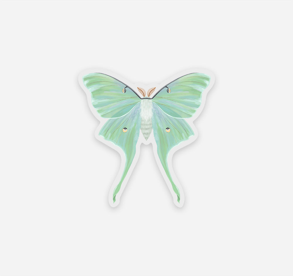 Luna moth sticker