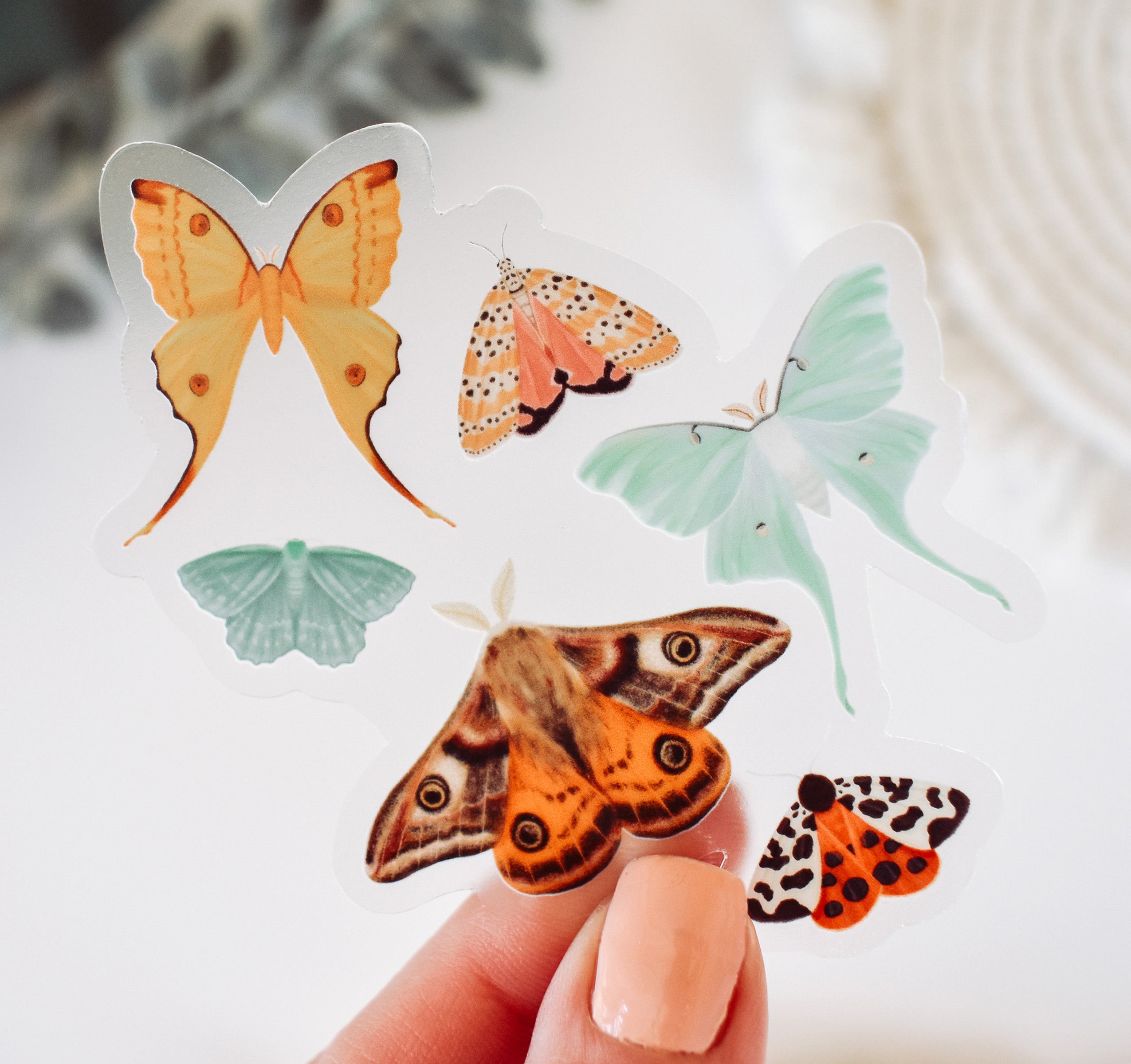 Moths sticker with an Emperor Moth, Luna Moth, Comet Moth, Emerald Moth, Bella Moth, and Garden Tiger Moth.