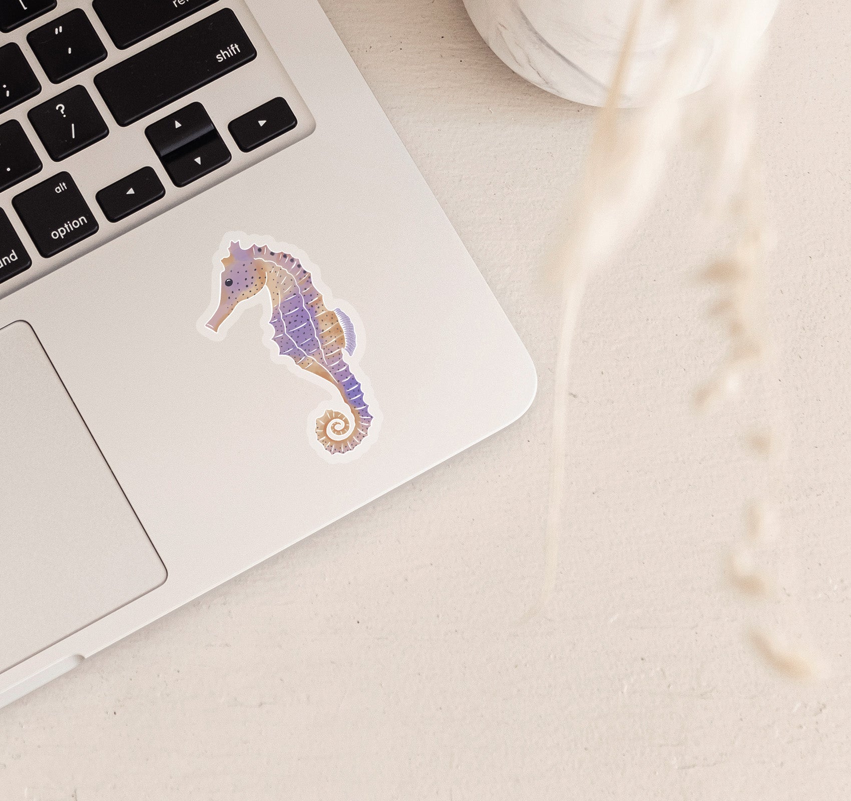 Seahorse laptop decal