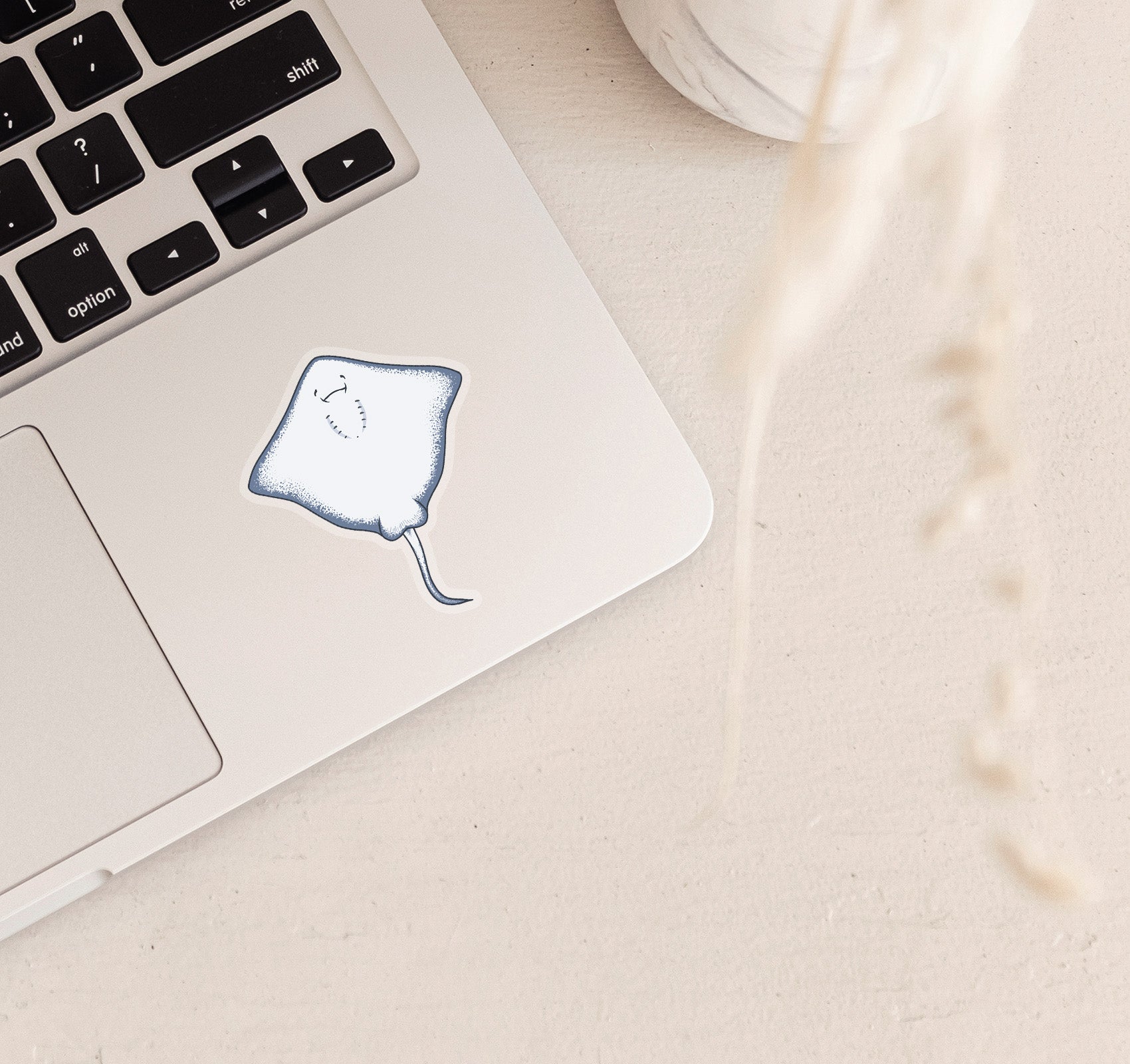 Stingray underside as seen from below clear vinyl laptop sticker