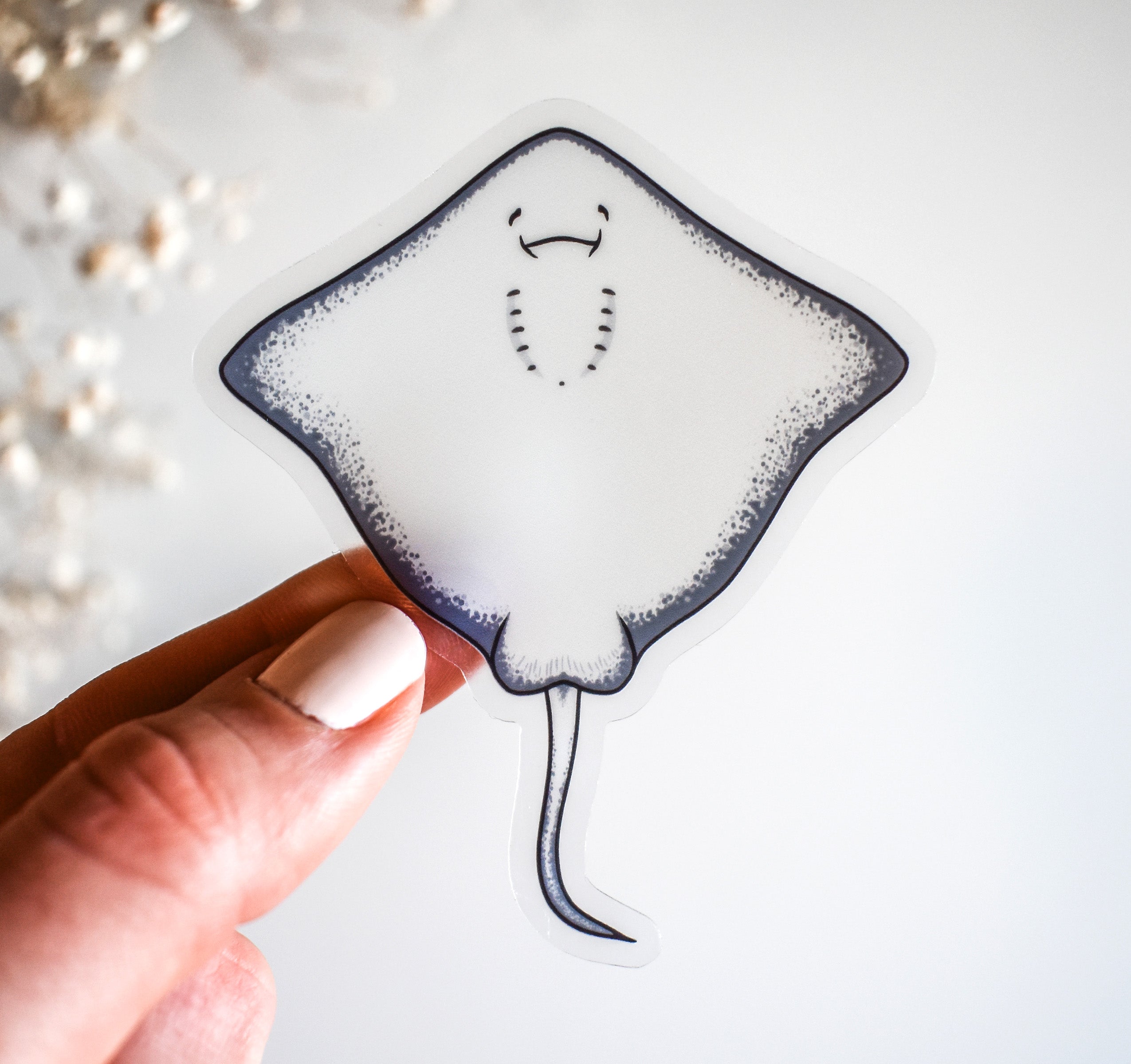 Stingray underside as seen from below clear vinyl sticker