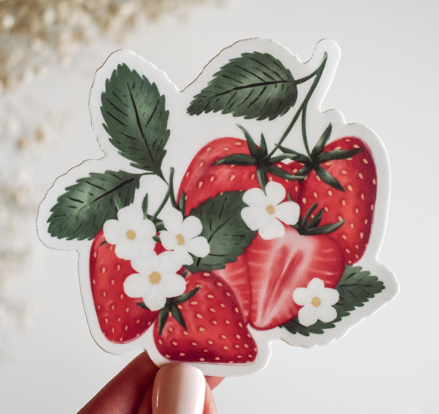 Bunch of strawberries with white flower blossoms vinyl sticker