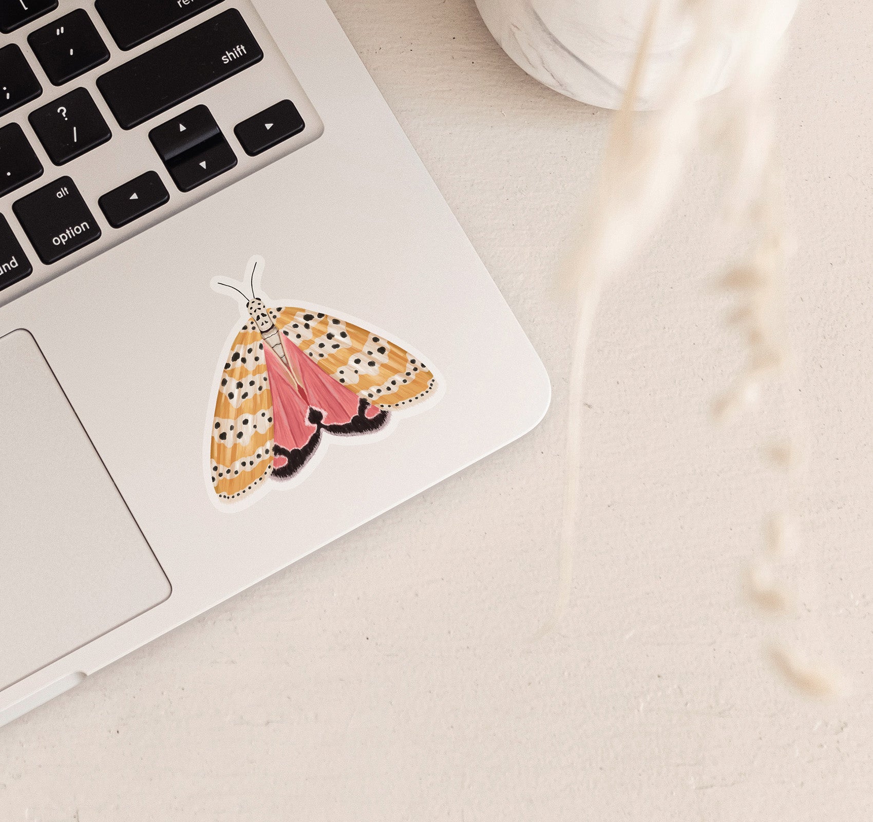 Bella moth laptop sticker