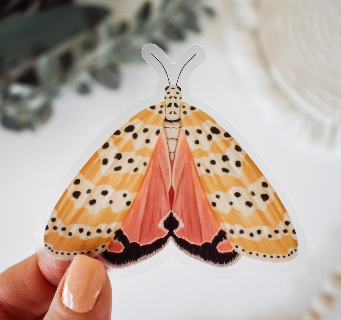 Bella moth sticker