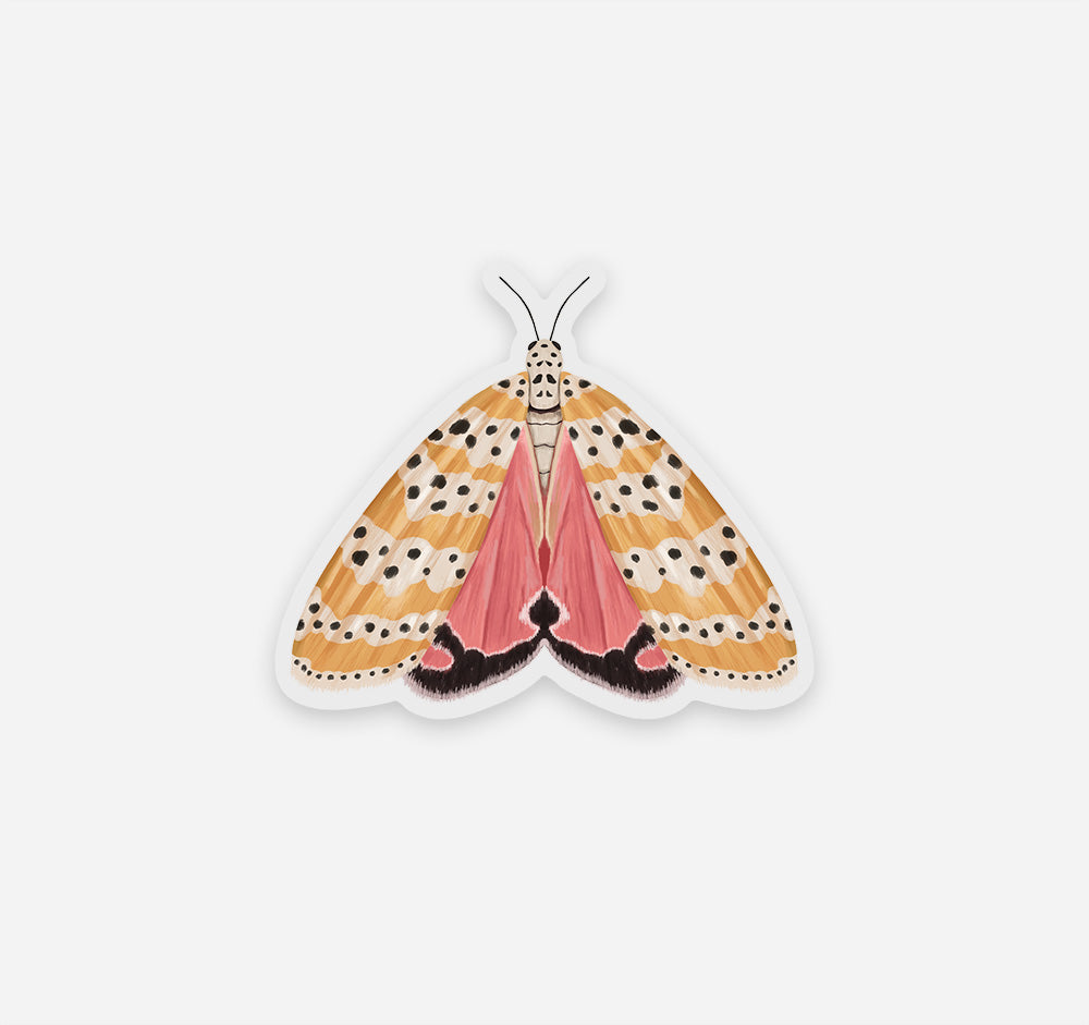 Bella moth sticker