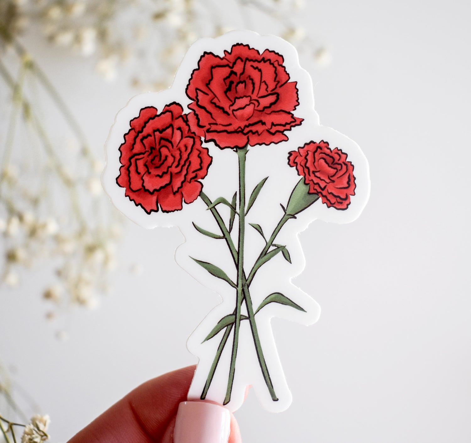 January birth month flower carnation sticker