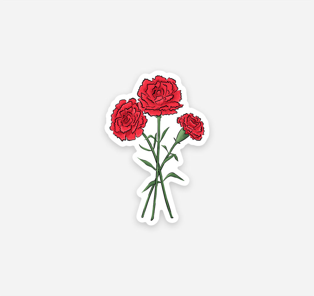 January birth month flower carnation sticker