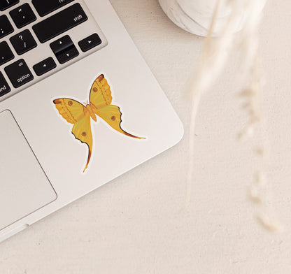 Yellow comet moth laptop sticker
