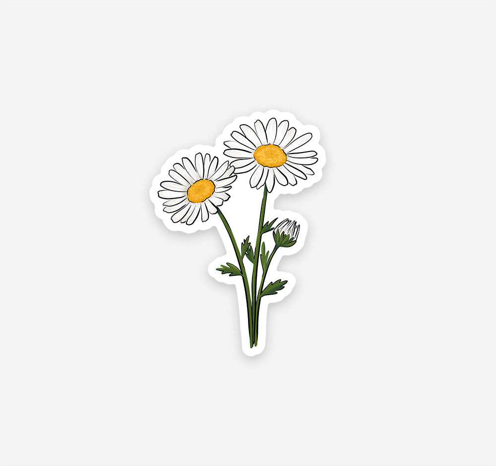 April birth month daisy sticker