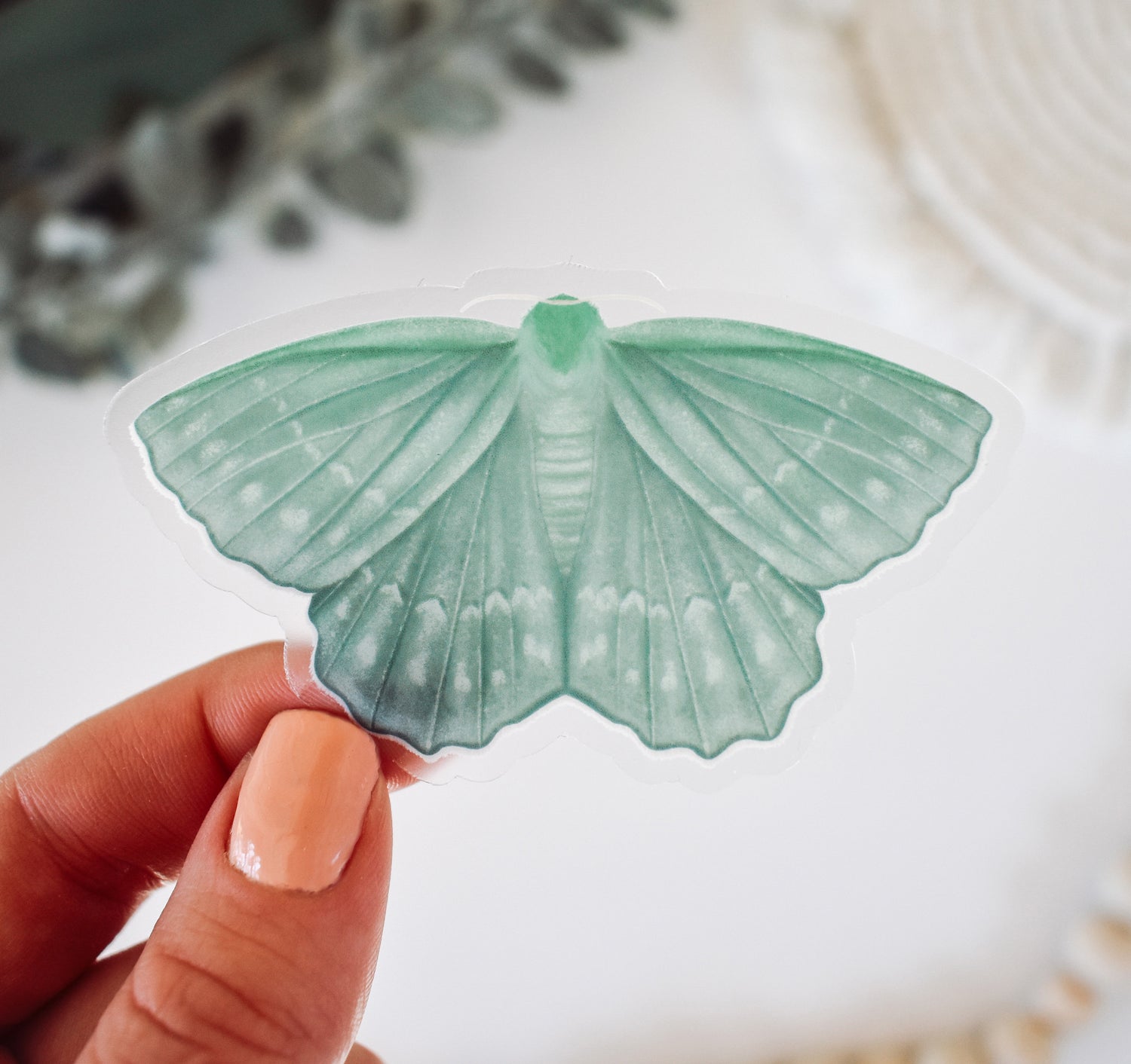 Emerald moth sticker