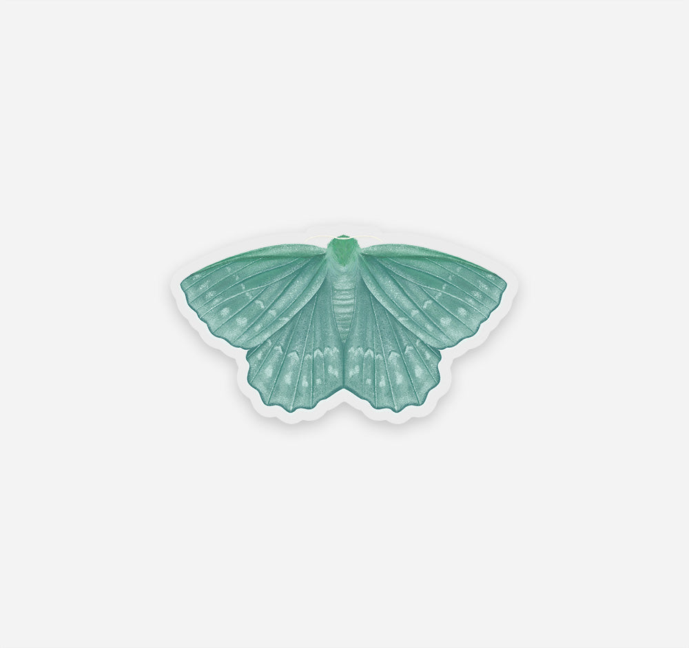 Emerald moth sticker