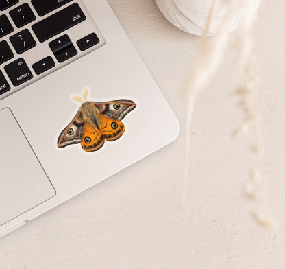 Emperor moth laptop sticker