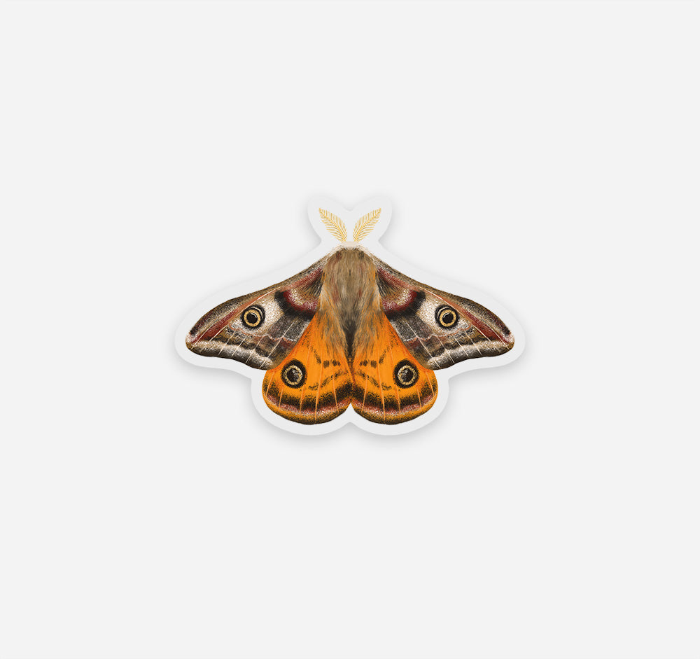 Emperor moth sticker