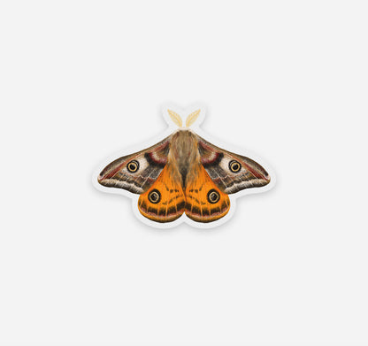 Emperor moth sticker