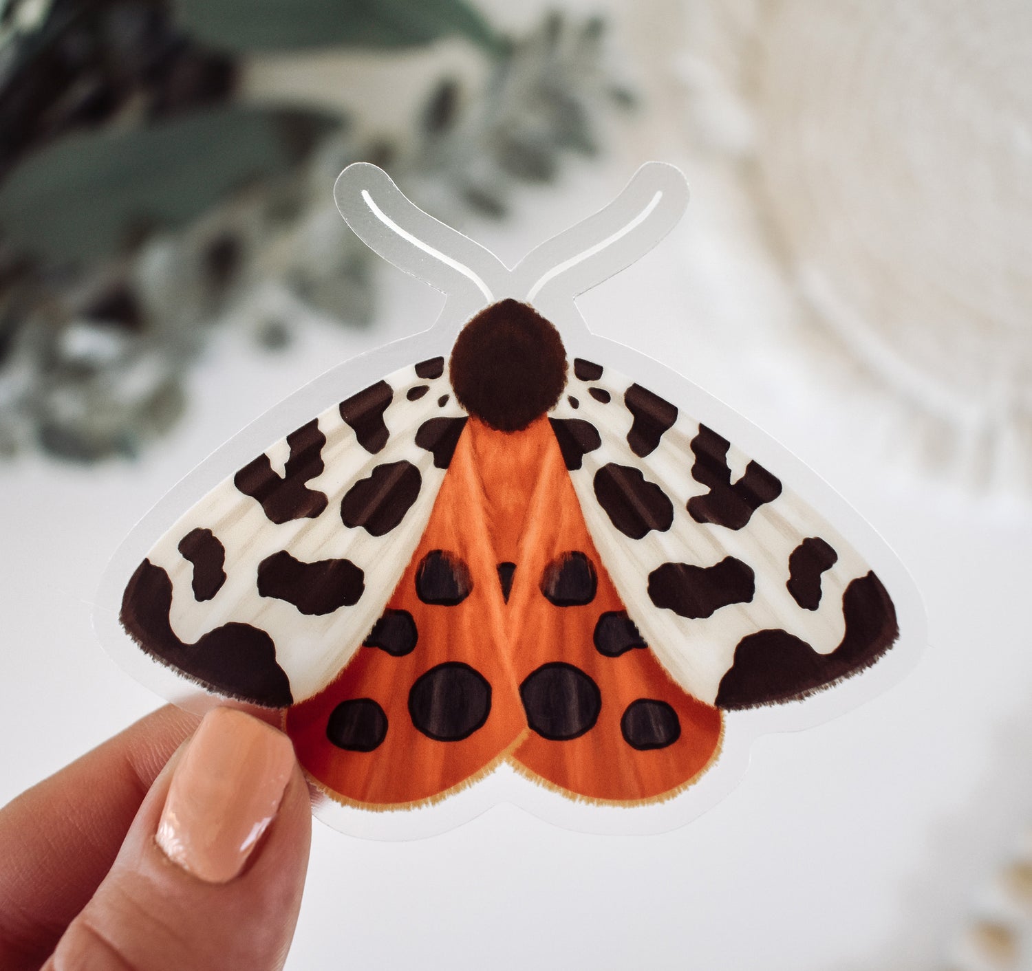 Moth Sticker | Psyche