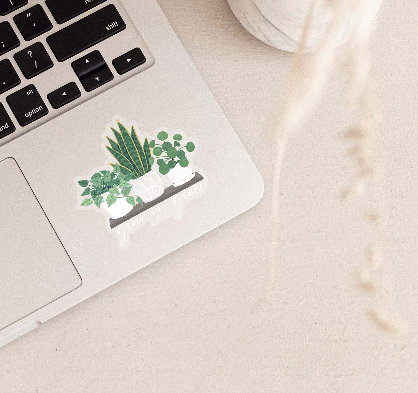 Grow in grace, 2 Peter 3:18 Bible verse Christian laptop sticker with a shelf of houseplants. These plants include a pothos plant, snake plant, and pilea peperomioides
