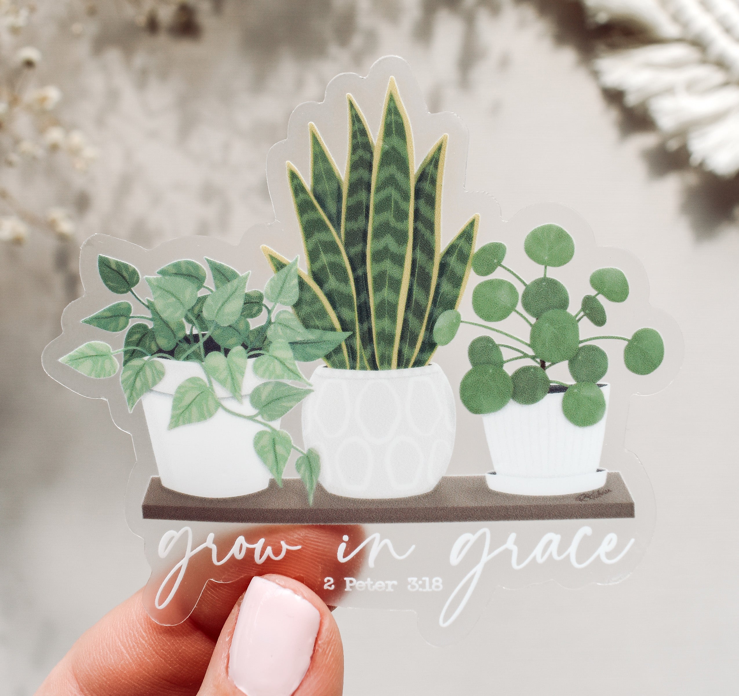Grow in grace, 2 Peter 3:18 Bible verse Christian sticker with a shelf of houseplants. These plants include a pothos plant, snake plant, and pilea peperomioides