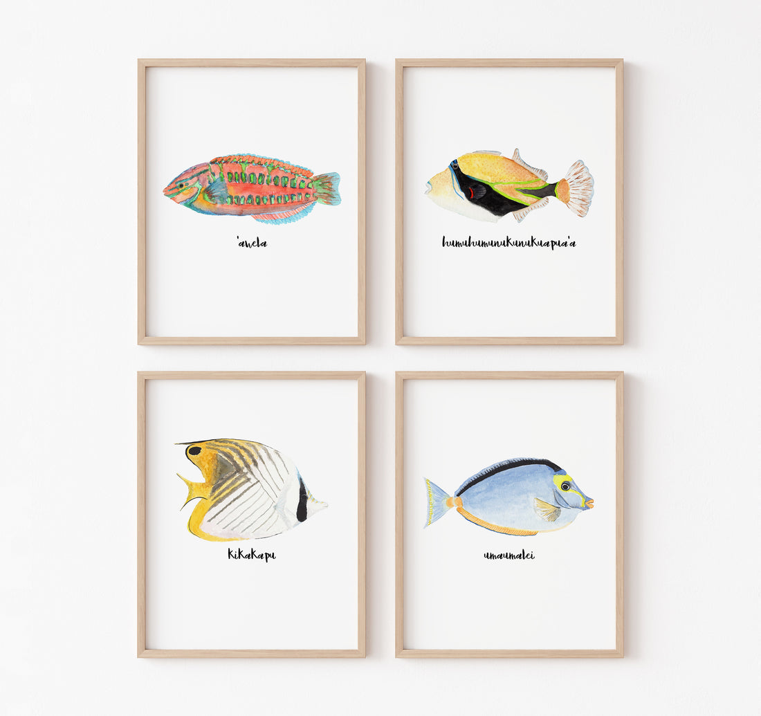 Set of 4 art prints of Hawaiian fish
