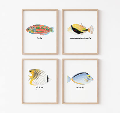 Set of 4 art prints of Hawaiian fish