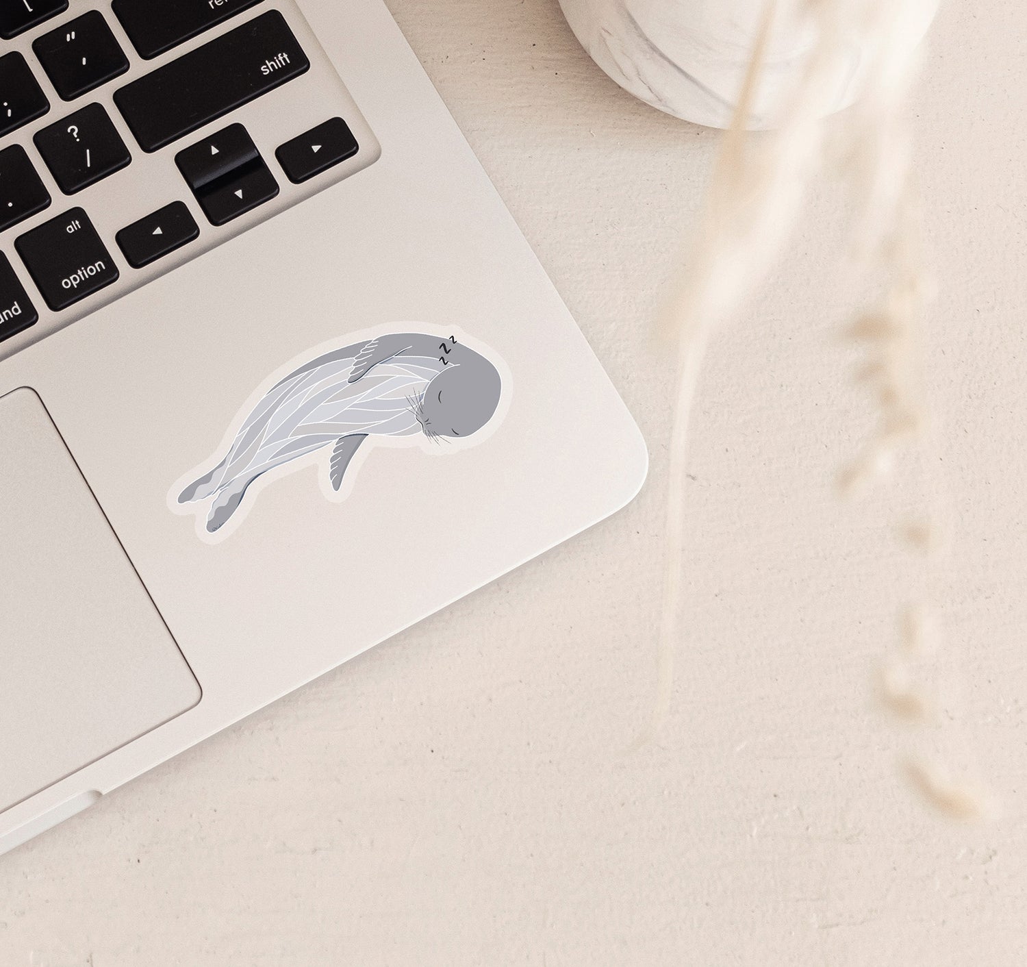 Hawaiian Monk Seal laptop sticker