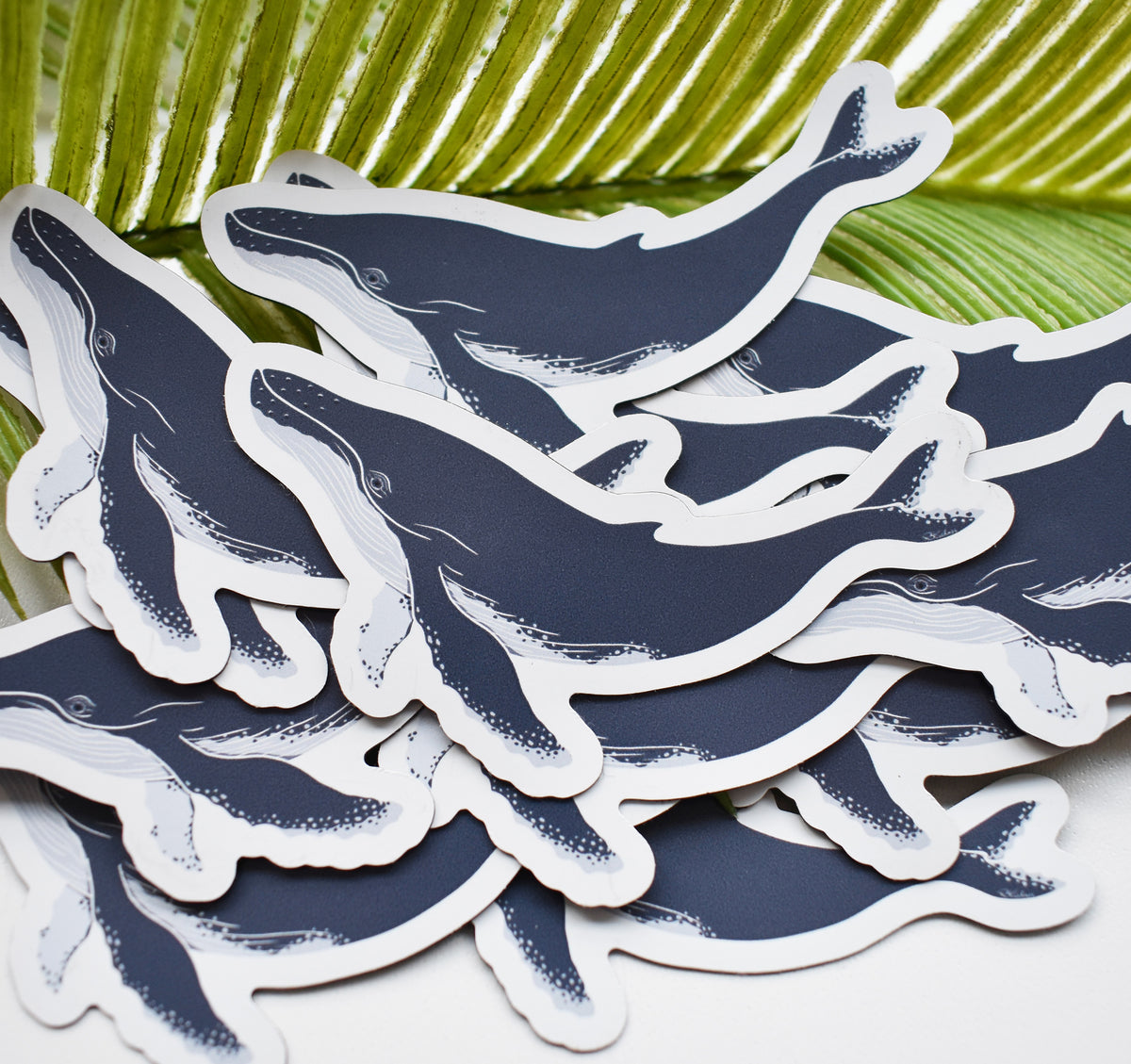 A pile of humpback whale magnets with dark navy blue bodies and white outlines, arranged on a white surface with green palm leaves in the background.