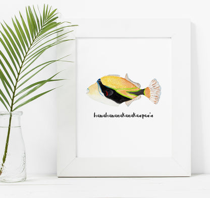 Hawaiian humu fish watercolor painting art print