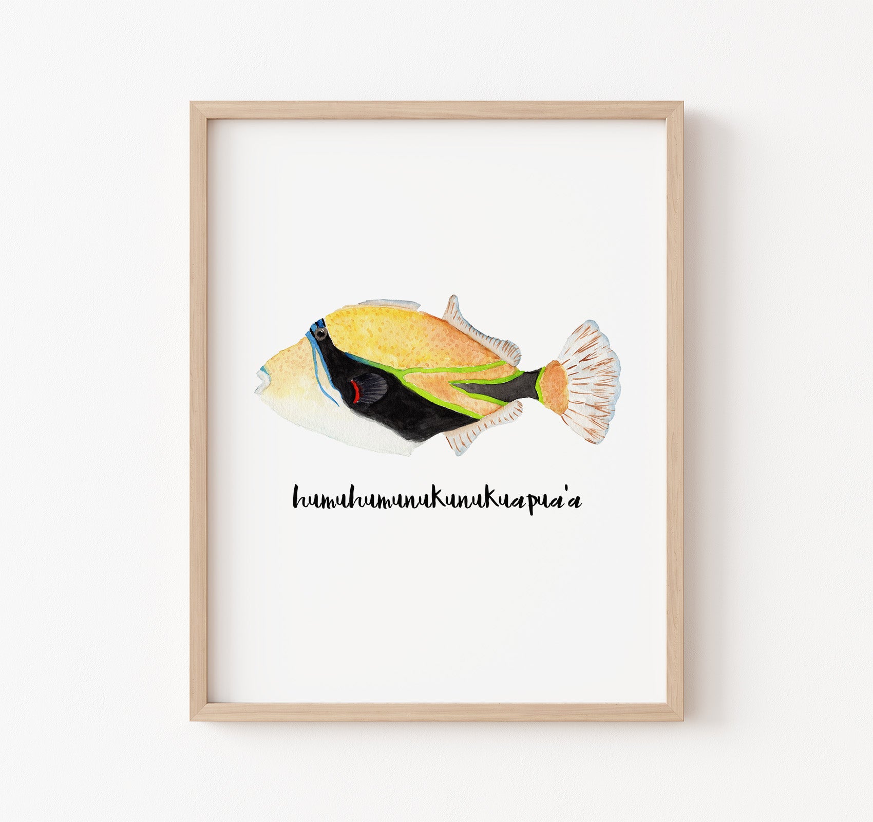 Hawaiian humu fish watercolor painting art print