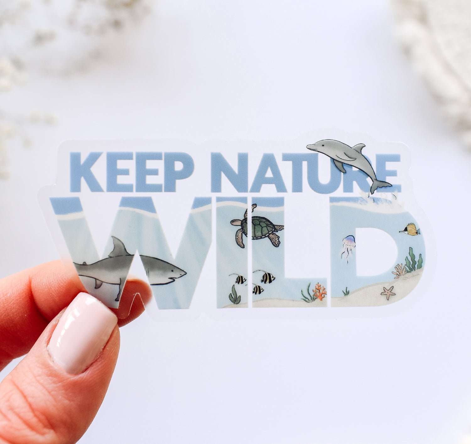 Keep Nature Wild clear vinyl sticker with a great white shark, bottlenose dolphin, green sea turtle, jellyfish, and various fish swimming in the ocean