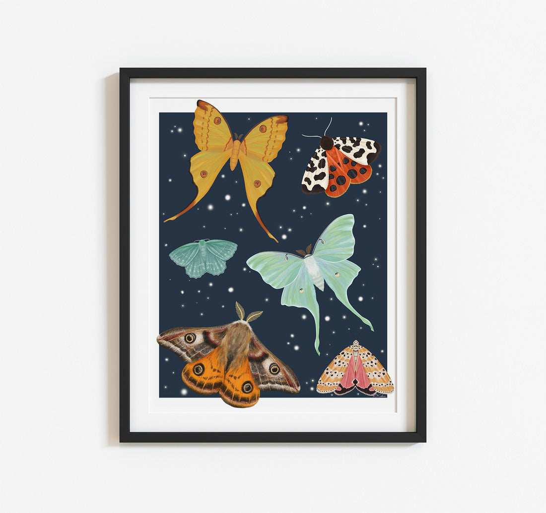 Art print of a variety of moths flying on a starry blue background