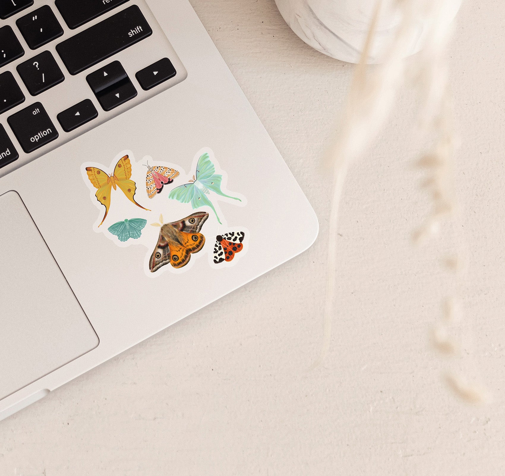 Moths laptop sticker with an Emperor Moth, Luna Moth, Comet Moth, Emerald Moth, Bella Moth, and Garden Tiger Moth.