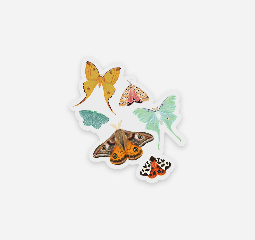 Moths sticker with an Emperor Moth, Luna Moth, Comet Moth, Emerald Moth, Bella Moth, and Garden Tiger Moth.