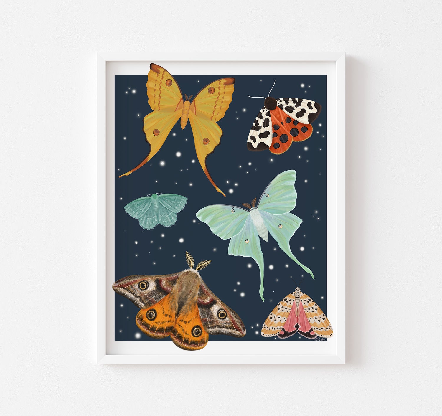 Art print of a variety of moths flying on a starry blue background