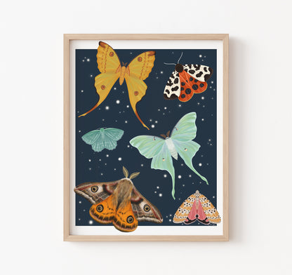Art print of a variety of moths flying on a starry blue background