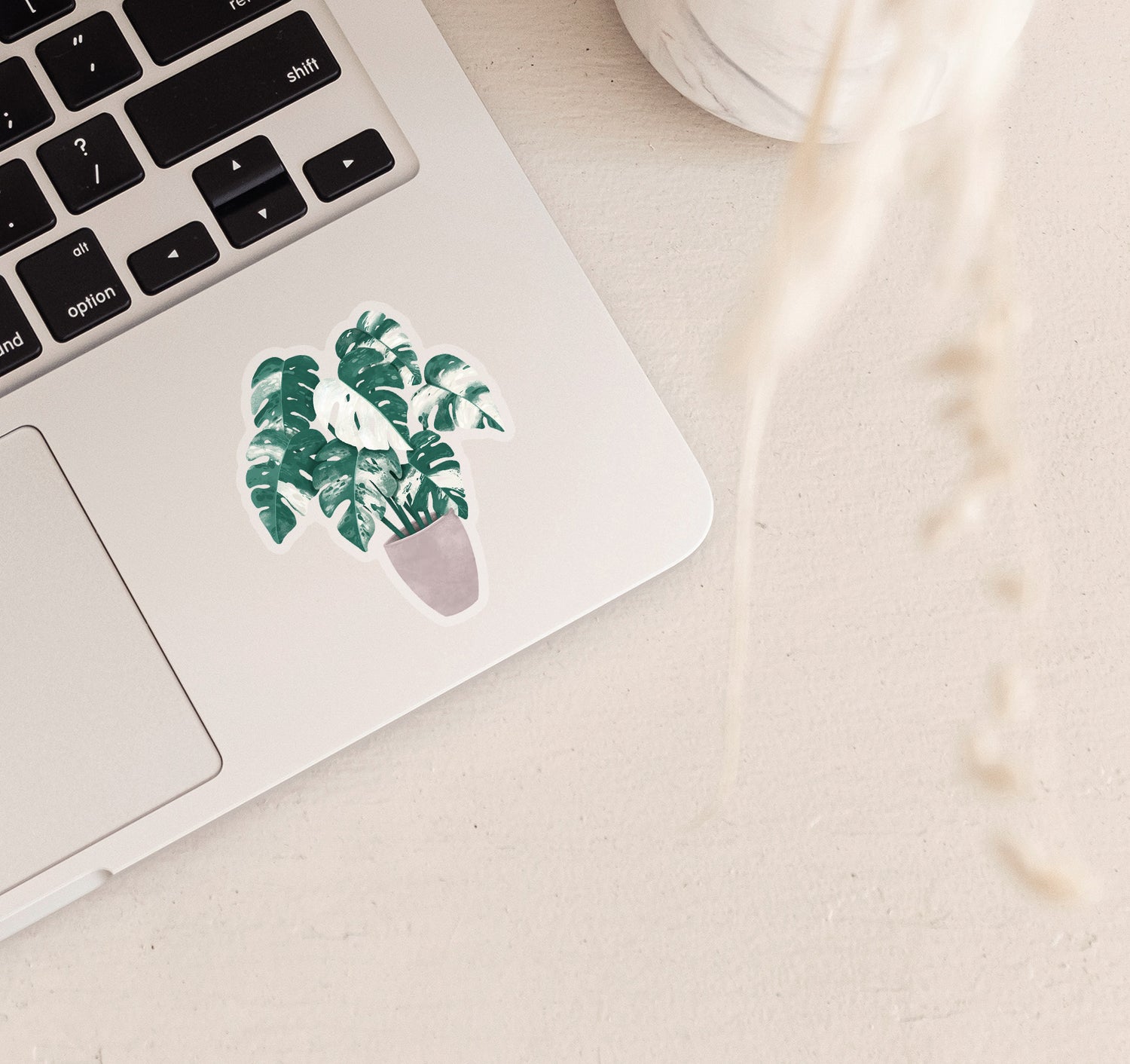 Monstera Albo Borsigiana art as a laptop sticker