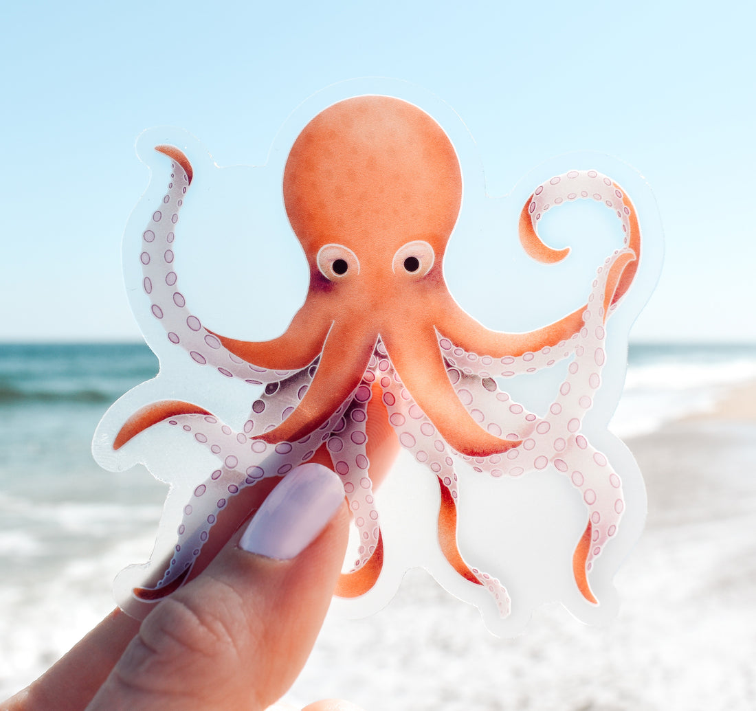 Cute octopus clear vinyl sticker at the beach