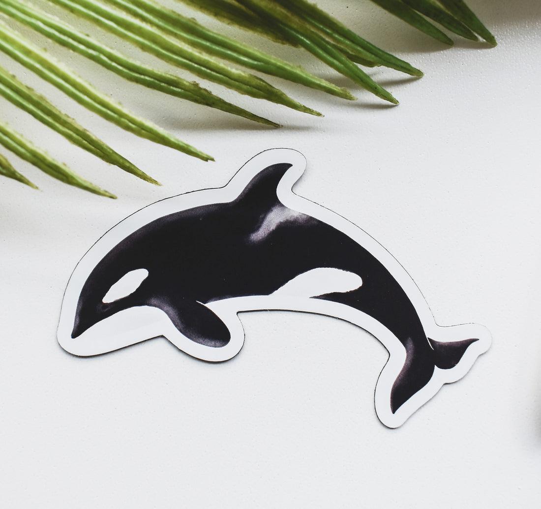 A magnet of an orca whale set on a white background with palm leaves.