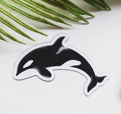 A magnet of an orca whale set on a white background with palm leaves.