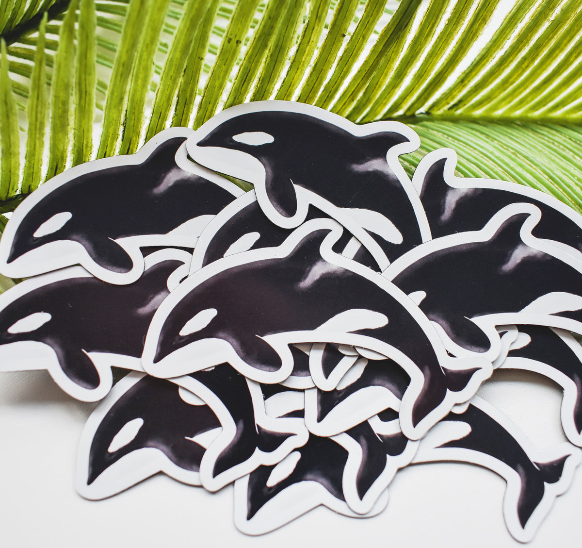 A pile of orca whale magnets on a palm frond.
