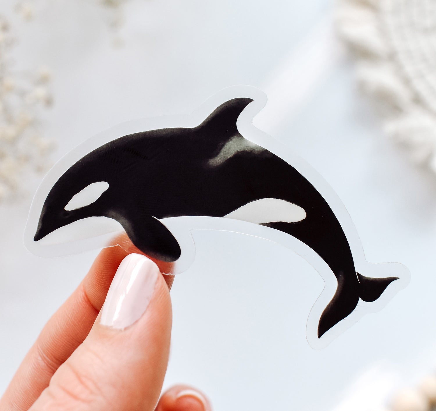 Clear vinyl ocean inspired sticker of an orca whale, also known as a killer whale